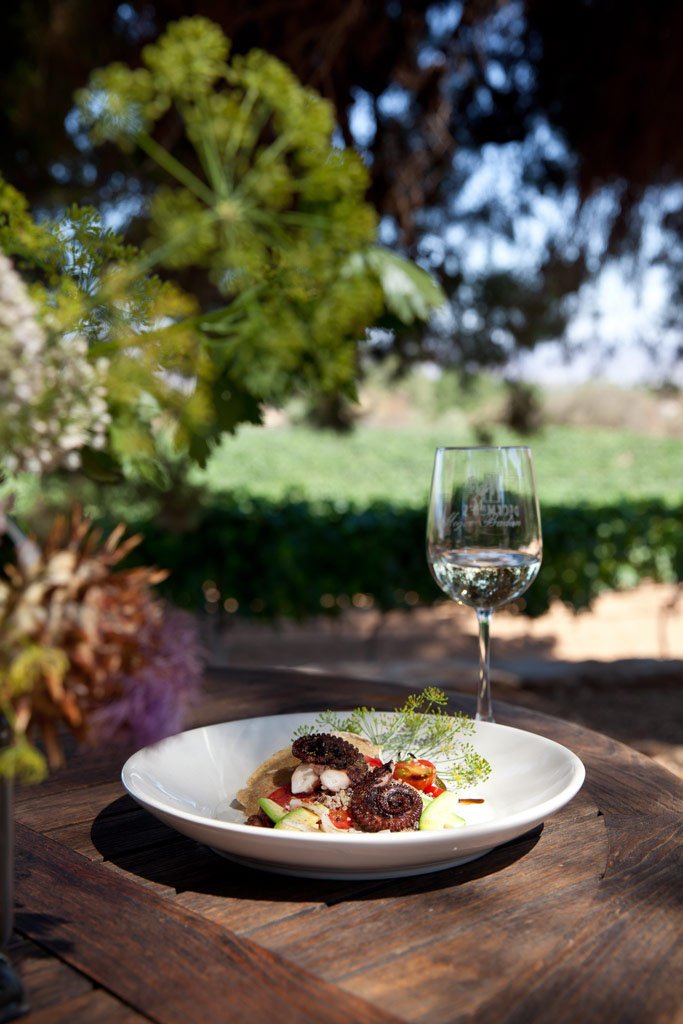 platillo de pulpo en escenario natural en valle de guadalupe